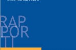Le reti del terzo settore – 2° rapporto 2013