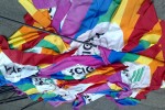 Arcigay - Omofobia, manifesti anti-gay a Modena: "quegli slogan offendono le nostre famiglie..."