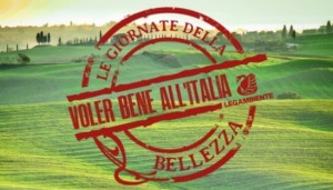 Voler-bene-allItalia