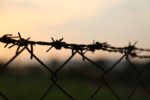 Giornata della Memoria, il Forum: "Ricordare non basta, si agisca nel presente"