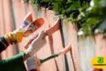 Legambiente - "Operazione scuole pulite" al fianco dell'Italia terremotata