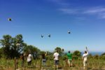 RiGenerazione non profit: il Terzo settore disegna il futuro