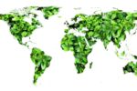 Giornata mondiale della Terra, l’Italia al 1° posto nella lotta all'inquinamento da plastica. Forum: “Siamo avanti ma non dobbiamo fermarci"