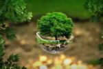 Clima, ecco le performance di 56 paesi nel Rapporto Germanwatch