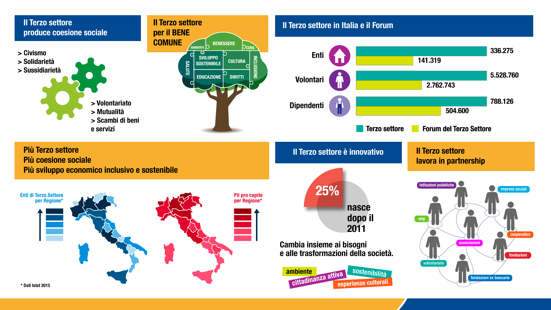 infografica sul Terzo settore italiano